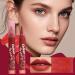 Lipstick Highlighter Matte Red Tinted Applicator Smudge Resistant Long Lasting Tinted Lip Color for Women and Girls - Buy Online on GoSupps.com