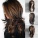 Wigherlange Wavy Hair Woman Wife with Bangs Ombre Brown and Blond Heat Constant Synthetics Of course look full of wig (dark brown)