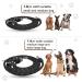Buy TRHIMLSBRAD Adjustable Dog Leash 3m x 10mm - Multifunctional Double-Leash Black | Perfect for Every Dog - International Shipping Available - Buy Online on GoSupps.com