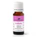Plant Therapy Hocus Focus KidSafe Essential Oil Blend 10 mL (1/3 oz) Pure Undiluted Therapeutic Grade - Kids Blend for Focus