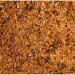 Cajun Two Step StaleKracker Original Seasoning 8oz - Pack of 2 - Buy Online on GoSupps.com