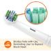 Amazon Basics Flossing Replacement Brush Heads 3 Count - White, Fits Most Oral-B Electric Toothbrushes - Buy Online on GoSupps.com