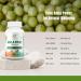 Amla Capsules 1500mg -120 Veg Capsules. Raw and Pure Natural Vitamin C Naturally Boosts Immunity Skin Glow Energy & Abundant Antioxidants. Whole Green SuperFood Nutrition. Non GMO-Gluten Free. - Buy Online on GoSupps.com