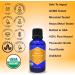 Zongle USDA Organic Orange Essential Oil | 1 OZ - Food Grade for Skin Cleaning Cooking & More - Safe for Diffusers & Candle Making - Buy Online on GoSupps.com