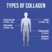 Buy Nature's Plus Marine Collagen Peptides 0.53 lb (244 g) - Premium Hydrolyzed Protein for Skin and Joint Health - Buy Online on GoSupps.com