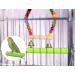 Buy Lohill Parrot Accessories - 4-Piece Bird Cage Toys and Perches for Parrots & Budgies - 15cm Ribbar Stood Bar - Buy Online on GoSupps.com