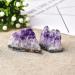 1PC Natural Amethyst Cluster Quartz CrystalStones Reiki Stones Crystal Point Specimen Home Decoration Raw Crystals for Crystal Cluster (Color : Amethyst Size : 4PCS) 4PCS Amethyst - Buy Online on GoSupps.com