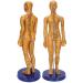 Acupuncture Model of the human body female male copper color meridian acupuncture point model for Chinese medicine teaching acupuncture massage lettering crafts (female model)