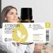 Rocky Mountain Oils Attention Assist Essential Oil Blend - Energizing Focus Oil | 15ml - International Shipping - Buy Online on GoSupps.com