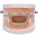 Buy Hip Hop Teeth Grills Set - Iced Out Gold Teeth Jewelry for Men & Women | International Shipping Available - Buy Online on GoSupps.com