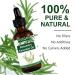 Rosemary Oil for Hair Growth | Pure Organic 60ml Essential Oil for All Hair Types | Pfrank - Buy Online on GoSupps.com