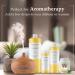 Buy Peppermint Fragrance Oil 8 fl. oz - Ideal for DIY Soap Candles Bath Bombs & Aromatherapy | Enhance Lotions & Body Butters - Buy Online on GoSupps.com