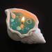 Ocean Theme Conch Shell Candle | Handmade Natural Scented Soy Wax Gel | Perfect for Meditation & Stress Relief - Buy Online on GoSupps.com
