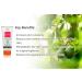Mommy Care Shapely Post Pregnancy Firming Lotion - Organic Tummy Tightening Cream for After Pregnancy - 3.38 fl.oz - Buy Online on GoSupps.com