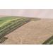 Pillow Wad Meadow Hay Large 2.25 Kg Pack Of 3 - Buy Online on GoSupps.com
