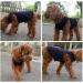 Shop Soft & Breathable Dog Clothing for Small Dogs | Cotton Sunscreen T-Shirts & Costumes - Perfect for XS to M Pets (S Blue) - Buy Online on GoSupps.com