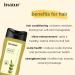 Herbals Pure Olive Oil for Face Body & Hair - 100ml | Effective Natural Skincare & Haircare Solution - International Shipping Available - Buy Online on GoSupps.com