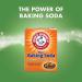 Arm & Hammer Clean Meadow Scent Booster 24 oz - Long Lasting Freshness | Pack of 1 - Buy Online on GoSupps.com