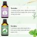 Rosemary Peppermint Essential Oil Peppermint Essential Oil For Aromatherapy & Diffuser Gift Set 2PCS 100% Pure Premium Oils - Rosemary Essential Oils For Soap/Candle Making Bath Perfume - 2 X 100ML - Buy Online on GoSupps.com