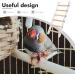 Vanzack Climbing Director for Parrots | Acrylic Vogel Ladder & Wooden Bird Cage Conductor | 26.50x10.00cm | Durable & Safe Pet Accessories - Buy Online on GoSupps.com