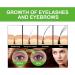 Castor Oil Hair Growth Oil Efficient Organic Castor Oil For Eyelashes And Eyebrows Promotes Hair Eyebrow And Eyelash Growth Skin Hydrates And Nourishes Conditioning Oil - Buy Online on GoSupps.com