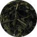  Lerbs & Hagedorn Sencha Organic Japan Superfine 1.5 kg - Buy Online on GoSupps.com