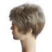 Aimole Men's Short Straight Brown-Silver Synthetic Full Wig - Buy Online on GoSupps.com