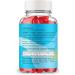Tru Bio Keto ACV Gummies Maximum Strength Gummies Powerful Formula with ACV Vitamin B12 Pomegranate and Beet Root (3 Pack) - Buy Online on GoSupps.com