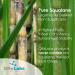 Organic Plant-Based Squalane Oil with Advanced Vitamin C - USDA Certified - 1 oz - Buy Online on GoSupps.com