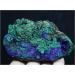 JFLDVUMJUM Natural Rare Green Malachite s ore Sample/from Laos Beautiful (Size : 200-250g) ZAOQINIYIN (Size : 300-350g) - Buy Online on GoSupps.com