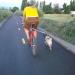 iFCOW Dog Bike Leash - Hands-Free Bicycle Training Leash for Jogging & Walking | Silver Perfect for Cycling - Buy Online on GoSupps.com