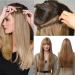 prinfantasy Halo Hair Extension Long Straight Clip in Synthetic Hairpiece Brown Hair Pieces for Women MW147 GBMW147 24 inch - Buy Online on GoSupps.com