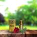Rose 12 ML Concentrated Fragrance (0.41 fl. oz)