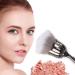 JERCLITY 2 Piece Rose Makeup Brushes Set - Large Face Powder & Blush Brush Kabuki Powder Brushes for Women & Girls (Blue White/Gray White - Buy Online on GoSupps.com