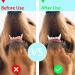 4 Pcs Dog Finger Toothbrush Nontoxic Silicone Dog Toothbrush Finger 360 Full Surround Cat Toothbrush Finger Toothbrush Dog for Dog Cat Puppy Pet Dental Care Health (Green)  - Buy Online on GoSupps.com