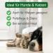 Envira Anti-Parasite Shampoo for Dogs & Cats - 2x 400ml | Effective Flea Tick & Mosquito Treatment - Itch Relief for Pets - Buy Online on GoSupps.com