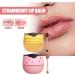 Moisturizing Lip Overnight Repair For Dry And Chapped Lips For Lip Care Suitable For Beauty Enthusiasts Nourishing Lip - Buy Online on GoSupps.com