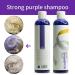 Intensive Silver Shampoo Purple Toning & Moisturizing for Blonde & Gray Hair | Anti-Yellow Tint Treatment - Buy Online on GoSupps.com
