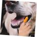 Housoutil Cat Chew Toothbrush 1 Set Pet Toothbrush Toothbrushes Dog Toothpaste Pet Tooth Care Brush Toothbrush Set The Dog - Buy Online on GoSupps.com