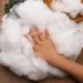 NOVWANG 3.5oz Premium Fiber Fill Polyester Stuffing for Pillows, Cushions, and Crafts - 100g/3.5oz - Buy Online on GoSupps.com