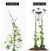 Kolibri 2-in-1 Wet Moss Bird Potions & Garden Trellis - Metal Bird Water Dispenser & Retro Stand Feeder for Outdoor Garden Decoration - Buy Online on GoSupps.com