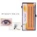 Women s Pro Makeup 60pcs Cluster Beauty Eyelashes - Grafting Fake False Lashes 6mm for Stunning Eyes - Buy Online on GoSupps.com