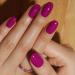 BLUESKY Gel Nail Polish Shout Loud SS2323 Magenta Pink Long Lasting Chip Resistant 5 ml Requires Drying Under UV LED Lamp - Buy Online on GoSupps.com