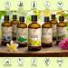 Nighting Cup Oil 100ml - Pure Cold-Pressed Oenothera Biennis for Face Body & Massage - Natural Wellness & Cosmetics in Glass Bottle - Buy Online on GoSupps.com