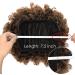 Short Kinky Curly Afro Puff Drawstring Ponytail Extension | T1B-30# | Large Size (90g) - Buy Online on GoSupps.com