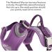 Hurtta Weekend Warrior Dog Harness - Size 60-80cm Currant - Durable & Adjustable for International Shipping - Buy Online on GoSupps.com