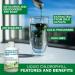 Liquid Chlorophyll Apple 5X Concentrated 500ml Cold Extracted from Non-GMO Alfalfa - Detox - Alkaline - Natural Body Deodorant Antioxidant - Made in Canada - Buy Online on GoSupps.com