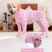 YeaPeeto One-Divider Pajamas for Large & Medium Dogs | Relaxation Wound Protection Hair Loss & Allergy Solution | 6XL Elephant - Buy Online on GoSupps.com