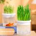 WOBBLO Grass Planter for Indoor Cats Transparent Hydroponic Planter for Cat Lawn Sprout Tray Pet Accessory Cat Pot Easy to Grow Prevents White - Buy Online on GoSupps.com