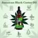 Premium Jamaican Black Castor Oil for Hair Growth - Moisturize & Strengthen Naturally - Buy Online on GoSupps.com
